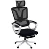 Executive Office Chair with Mesh Back, Lumbar Support, Arm, Foot Rest, Headrest