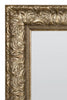 Extra Large Gold Ornate Wall Mirror 168x77cm. Wall Hang or as a Leaner Mirror