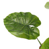 Large Artificial 1.6m Tree In Pot Fake Alocasia Plants Home Office UV Stable UK