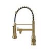 New Mono Pull Out Kitchen Mixer Tap Dual Spout Spray with Pull Down Spring Spout