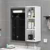 Bathroom Cabinet Mirror 1 Door LED Touch White Wall Mounted Storage Modern