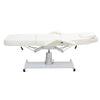 Reclining Beauty Salon Chair Couch Bed Massage Table Tattoo Therapy Facial Spa