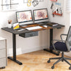 Electric Standing Desk Sit to Stand Table Height Adjustable Computer Workstation