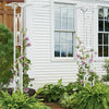 Wide Garden Arch Metal Archway Gate Rose Vine Plants Climbing Trellis Heavy Duty
