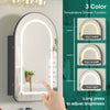 Arched LED Bathroom Mirror Cabinet with Storage Wall Mounted For Bathroom Black