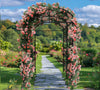 88 Inch Tall Garden Arch Trellis for Climbing Plants Sturdy Iron Rose Vegetable