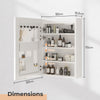 LED Bathroom Mirror Cabinet with Lights Touch Switch 3 Colors LED with Storage