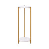 90cm Plant Stand 2/3-Tier Flower Holder Tall Side End Table with Golden Frame