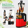 Slow Cold Press Juicer Masticating Juicer Makes Pulpy Juice Fruit DIY Ice Cream