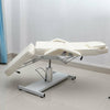 Reclining Beauty Salon Chair Couch Bed Massage Table Tattoo Therapy Facial Spa