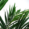 Kentia Palm Artificial Tree 150cm - Realistic plant by Leaf
