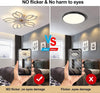 LED Ceiling Fan Light Dimmable Chandelier Living Room Lamp W/ Remote Control HOT