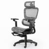 Ergonomic Office Chair Mesh Computer Desk Chair with Adjustable 6D Armrest