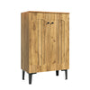 Modern 2-Door Shoe Cabinet 60x31.5x95cm Hallway Storage with Adjustable Shelves