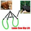 Cattle Lifting Clamp Device Cow Postpartum Stand Assist Cow Hip Lifter Assistant