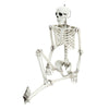 160CM Life Size Human Skeleton Bone Posable Halloween Haunted House Horror Decor
