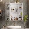 3 Doors Mirrored Bathroom Cabinets Wall Mounted LED Mirror Cabinet 800 x 800mm