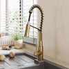 Brush Gold Monobloc Kitchen Sink Mixer Tap with Pull Out Hose Spray Single Lever