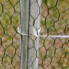 Walk In Chicken Run Galvanized Chicken Coop Hen House w/ Galvanized Frame & Lock