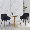 Noble Set of 2 Dining Chairs Velvet Armchairs Upholstered Soft Seat Back Metal