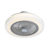 LED Ceiling Fan with Color Changing Lighting Smart RGB Speed Low Profile 20x8in