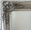 Mirror Large Full Length Wall Leaner Antique Vintage Silver 157cm x 68cm