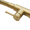 Brush Gold Monobloc Kitchen Sink Mixer Tap with Pull Out Hose Spray Single Lever
