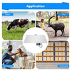 Digital Animal Scale Floor Scale Livestock Pet Scale Veterinary Scale 500kg Load
