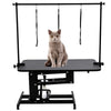 Professional Hydraulic Dog Grooming Table Adjustable Lift with H Bar Arm Leash
