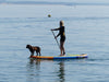 O'shea QSX 10'2 Inflatable Stand Up Paddle Board - Reclaimed Stock