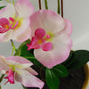 Artificial Orchid Glazed Planter Light Pink Green Glazed Planter 65cm