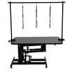 Professional Extra Large Heavy Duty Hydraulic Pet Dog Grooming Table with H Bar