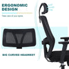 Ralex-chair Ergonomic Office Chair, Desk Chair with Adjustable Headrest, Black
