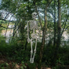 170cm Giant Life Size Human Skeleton Model Horror Bone Posable Halloween Decor