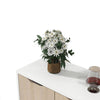 Living Room Sideboard Storage Cabinet with 2 Doors 2 Drawers TV Stand Cabinet