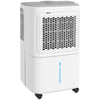 12L/Day Small Dehumidifier for Home Damp, with Humidity Light