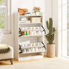 Shoe Storage Cabinet with 2 Flip Drawers-White