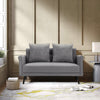 2 Seater Sofas Grey Fabric Upholstered Loveseat Couch with 2 Pillows Home Office