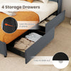 Double Size Bed Frame Upholstered Platform Bed w/ LED Lights