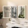 LED Bathroom Mirror Cabinet Rectangle Vanity Cabinet Wall Mirror w/Storage Shelf