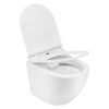 D-Shape Compact Short Projection Rimless Wall Hung Toilet Pan + Soft Close Seat