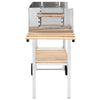 XXL Trolley Charcoal BBQ Grill Stainless Steel with 2 Shelves Cart vidaXL