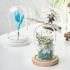 20pcs Glass Dome Display Bell Jar Cloche Wood Base Figure Action Storage Display