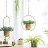 Metal Hanging Planter Basket Wall Ceiling Plant Flower Pot Holder Office Decor