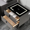 2 Drawers LED Bedside Table Wireless Charging Nightstand Bedside Cabinet Hzezvic