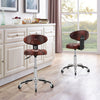 2PCS Office Home Height Adjustable 360°Swivel Chair Desk Salon Bar Beauty Stool