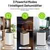 Electric Dehumidifier for Home Portable Quiet Electric Air De-Humidifier 25L/Day
