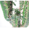 Artificial Cacti Cactus Plant 75cm Realistic Faux House Plants Tropical