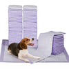 Weatherproof Indoor Outdoor Plastic Pet Puppy Dog House Dog Kennel Shelter Home