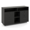 File Cabinet Mobile Lateral Filing Storage Organizer with Lock-Black